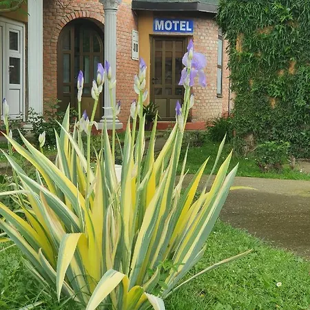 Motel Zoka